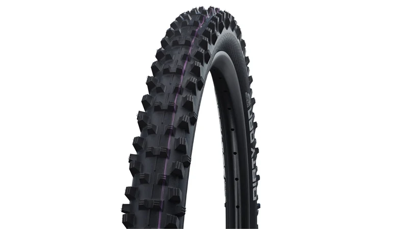 Schwalbe Dirty Dan Evo SD 29
