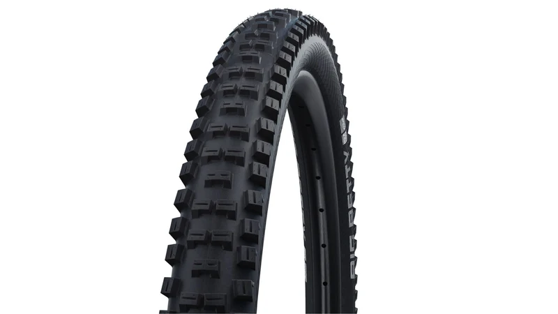Schwalbe Big Betty Perf. Park 26