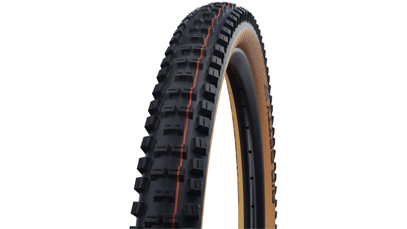 Schwalbe Big Betty Evo SG 29